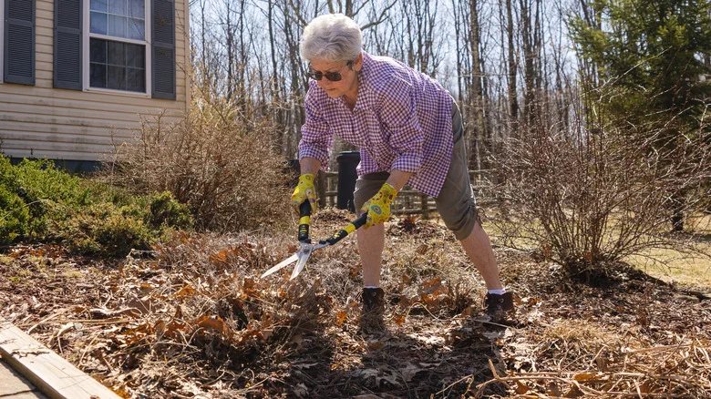 The Best Time Of Year To Clean-Up Your Garden (Without Harming Beneficial Pollinators)
