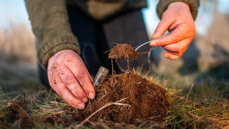 The Best Time Of Year To Start Testing The Quality Of Your Soil