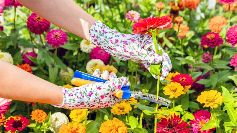 The Best Time To Cut Flowers From Your Garden That Ensures They Stay Fresh For Longer