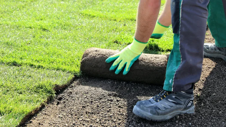 The Best Time To Lay Sod For A Lush Lawn, Depending On The Grass Type