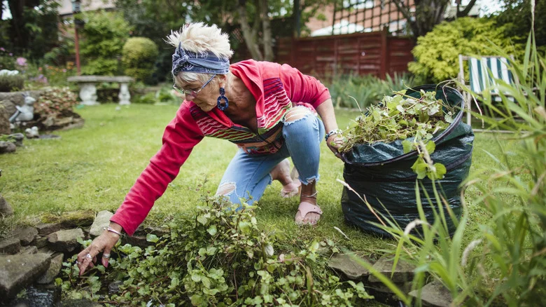 The Best Time To Pull Weeds Without The Hassle