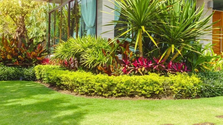 The Best Way To Keep Your Lawn From Turning Brown During A Heatwave