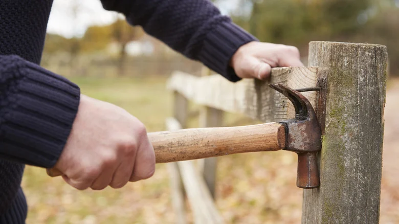 The Big Mistake Everyone Makes After Removing A Fence From Their Yard