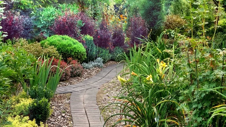 The Big Problem With Using Wood Chips With Your Soil