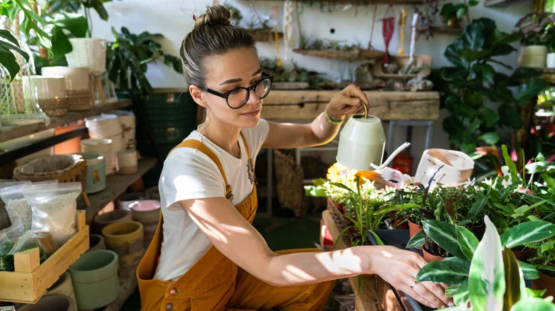 The Biggest Mistakes You’re Making With Your Container Garden