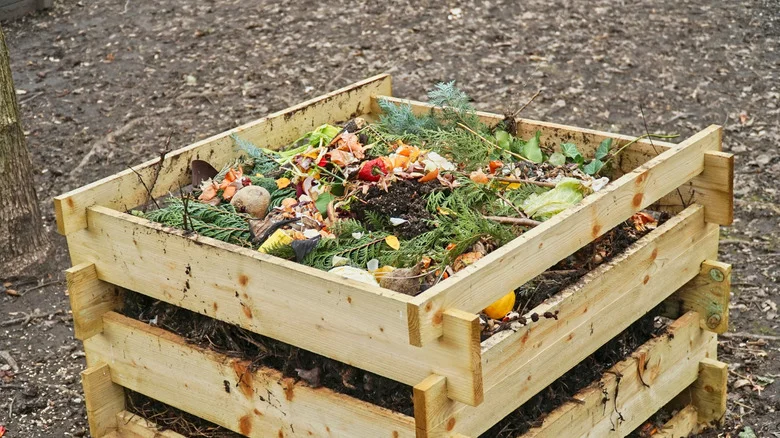 The Breakfast Staple You Should Be Adding To Your Compost Bin