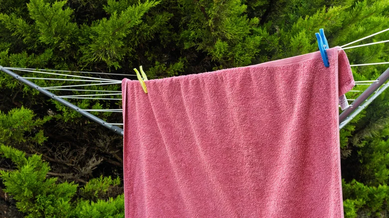 The Clever Towel Trick That Makes Garden Cleanup 10X Easier