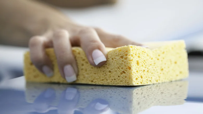 The Clever Use For Sponges In The Garden That Helps Hydrate Your Plants