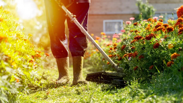 The Clever Way To Protect Trees And Plants When Weedeating