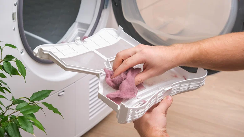 The Clever Way You Can Reuse Dryer Lint To Protect Your Garden Soil From Erosion