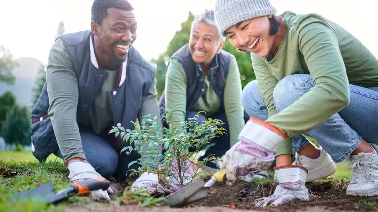 The Clever Way You Should Be Reusing A Sponge While Working In The Garden