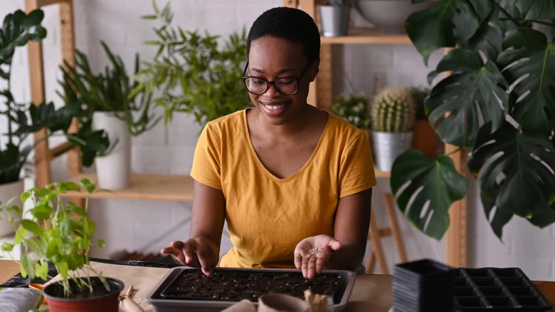 The Common Garden Vegetable You Can Actually Grow Indoors In The Winter