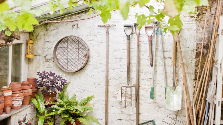 The Common Gardening Tool You Should Toss Out From Your Shed Immediately