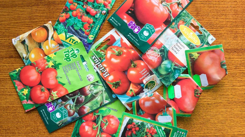 The Common Household Throwaway You Can Reuse To Easily Plant Tomato Seeds