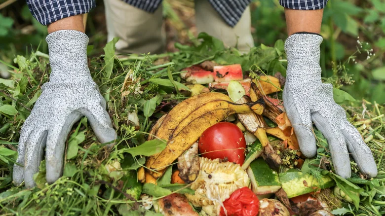 The Common Kitchen Scrap You Should Start Adding To Your Compost Pile