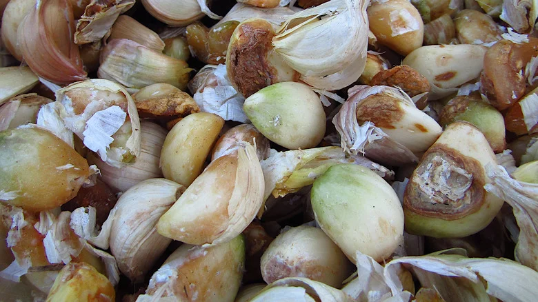 The Common Pest That Attacks Your Garlic (And How To Get Rid Of It)