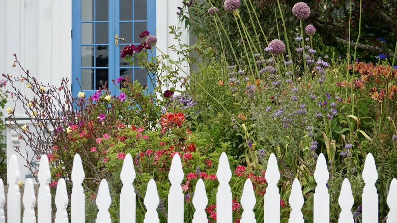 The Cottage Garden Essential That Creates A Beautiful Oasis