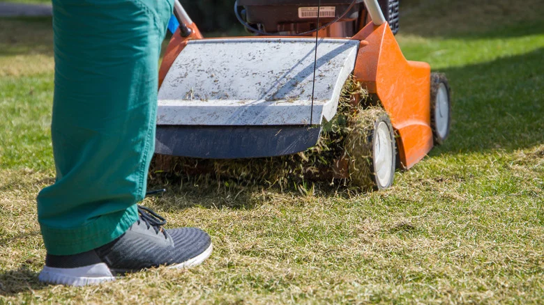The Crucial Lawn Care Step That Starts In May For Healthy Grass All Season Long