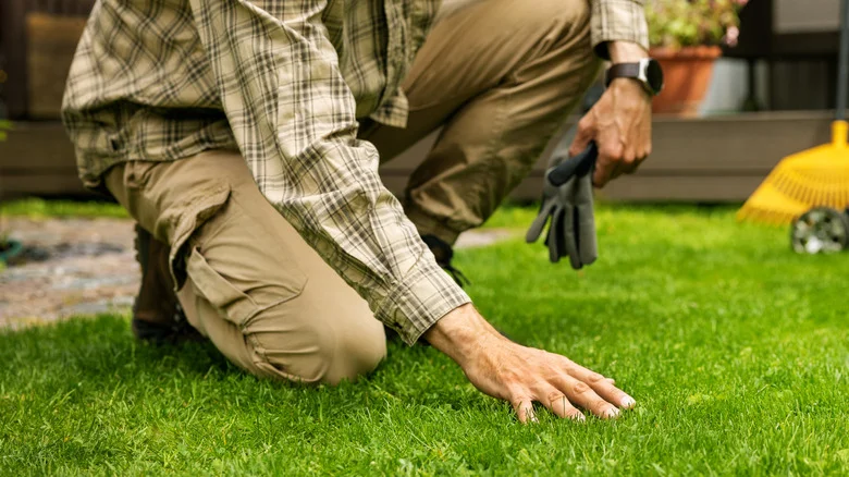 The Crucial Lawn Care Test That Starts In June For Healthy Grass All Summer