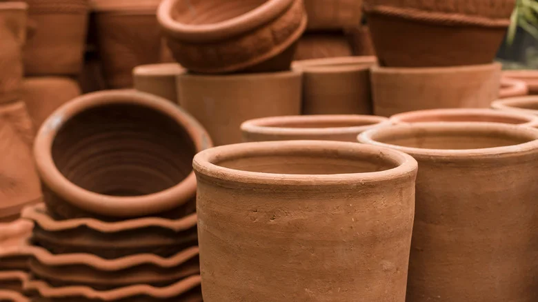 The Dairy Treat That’ll Make Your Terra Cotta Pots Look Like A Million Bucks