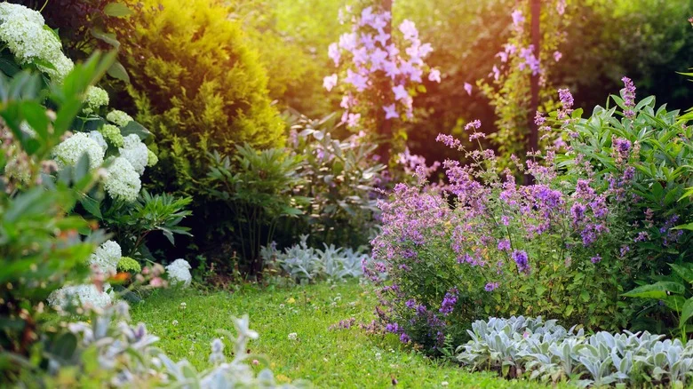 The Dangerous Weed That Boasts Stunning Flowers (But Should Be Avoided At All Costs)