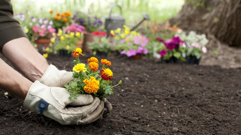 The DIY Flower Bed That’s Already Sitting In Your Backyard