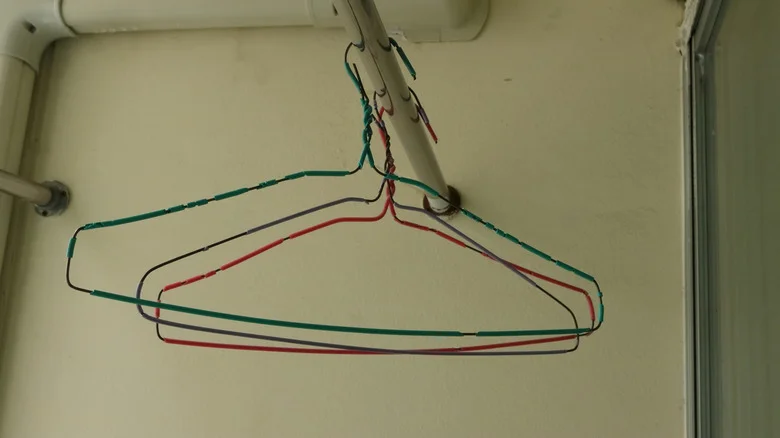 The DIY That Repurposes An Old Wire Hanger Into The Perfect Garden Accessory
