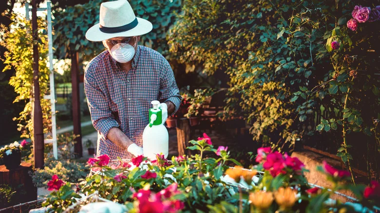 The Downsides Of Using Systemic Pest Control Insecticides In Your Yard