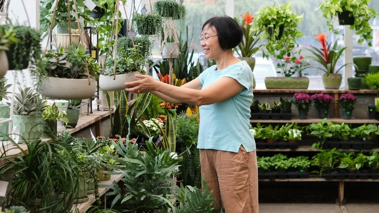 The Drought-Tolerant Succulent That Looks Beautiful In Outdoor Planters
