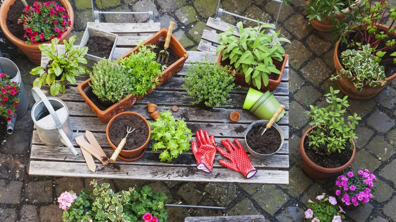 The Easiest DIY For A Shabby Chic Garden Planter Is Right In Your Kitchen