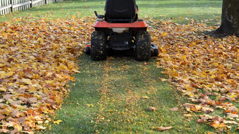 The Easiest Solution To Collect Fallen Leaves With Your Lawn Mower Is On Sale At Amazon