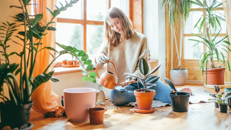 The Easily Thrifted Item That Makes A Budget-Friendly Planter Drip Plate