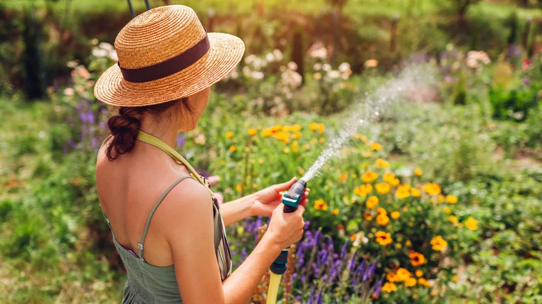 The Easy DIY Garden Trellis That’ll Change Your Plant Growing Game