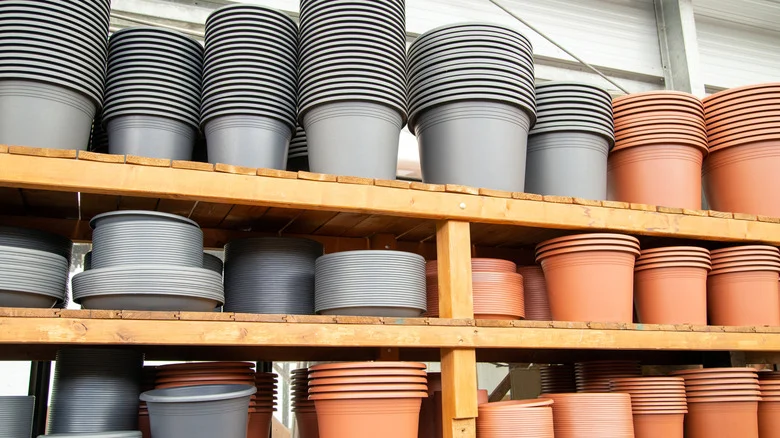 The Easy DIY That Gives Any Plastic Planter A Terracotta Upgrade