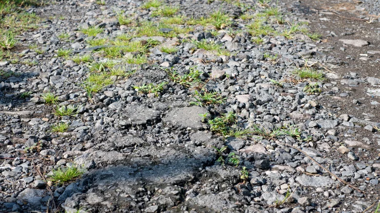 The Easy Solution For Treating And Preventing Weeds In Gravel