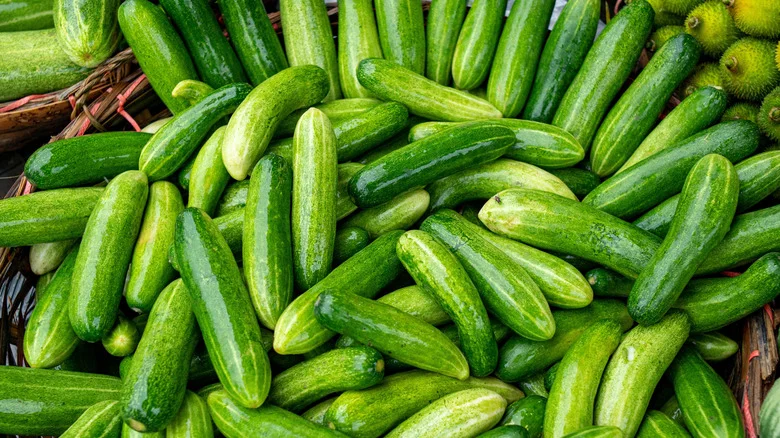 The Easy-To-Grow Herb That Will Help Your Cucumber Plants Thrive In The Garden