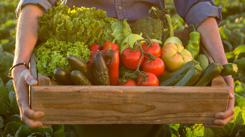 The Easy-To-Grow Veggie Pinterest Recommends For Beginner Gardeners
