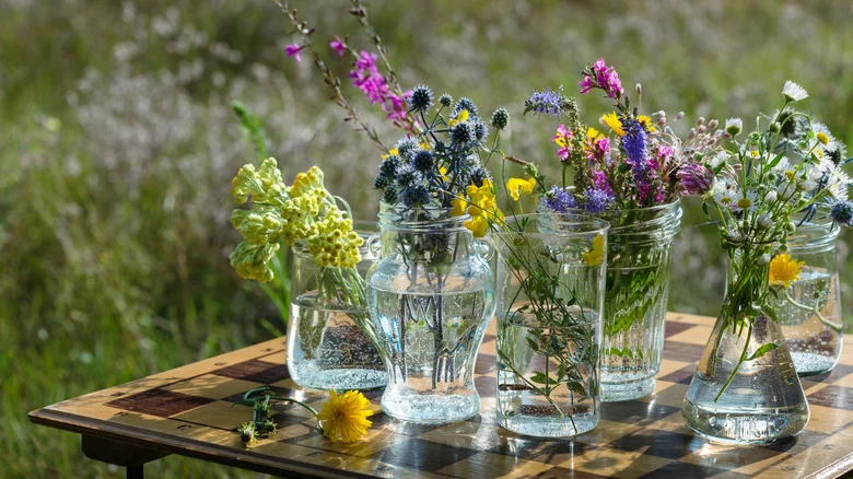 The Edible Flowers You Can Grow In A Jar In Your Kitchen