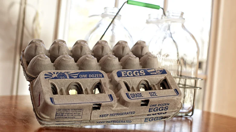 The Egg Tray DIY That Will Make Planting Seeds In The Garden Quick & Easy