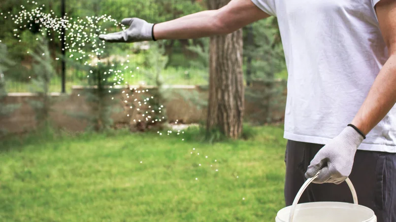 The Essential Lawn Care Step To Do Before Spring Fertilizing