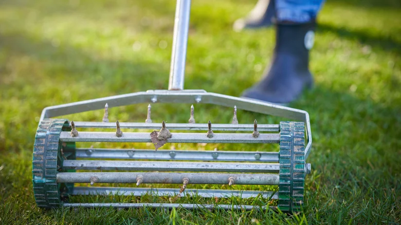 The Essential Lawn Care Task To Do Before Aerating In The Spring