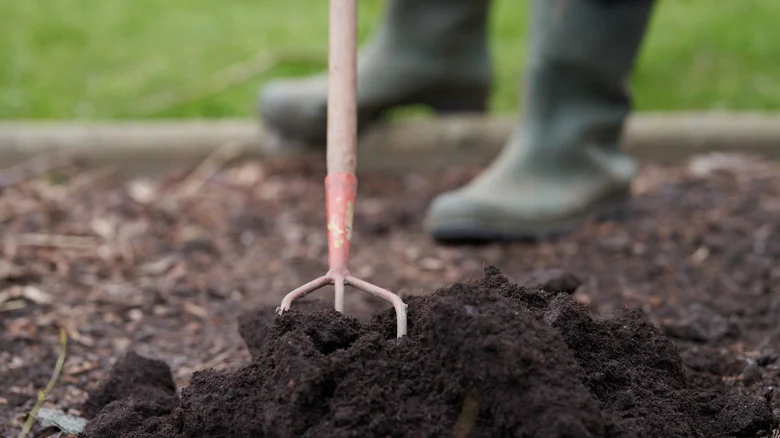 The Exact Amount Of Compost Your Soil Needs (And Why It Matters)