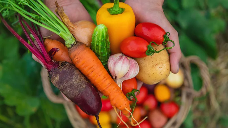 The Fall Veggie You Should Pick More Often For A Bigger & More Delicious Harvest