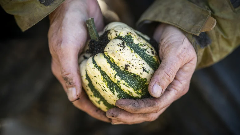 The Fascinating Way You Can Use Gourds For Home Decor