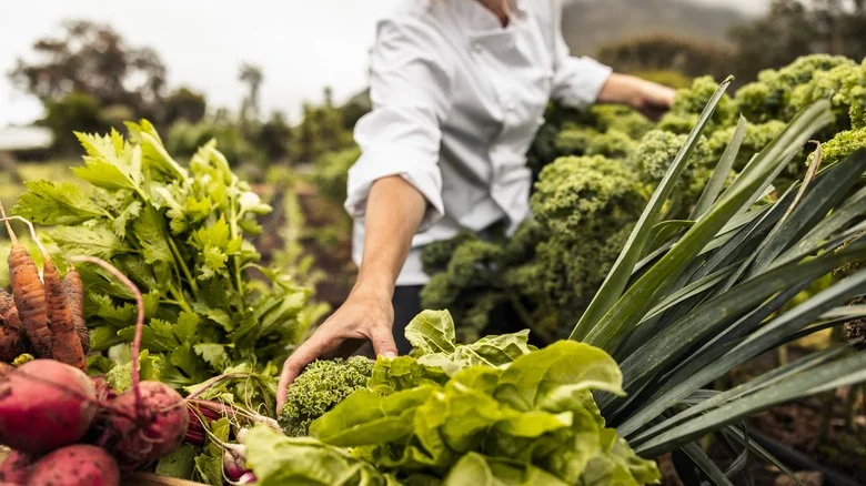 The Fast-Spreading Weed That Can Do Major Damage To Vegetables In The Garden
