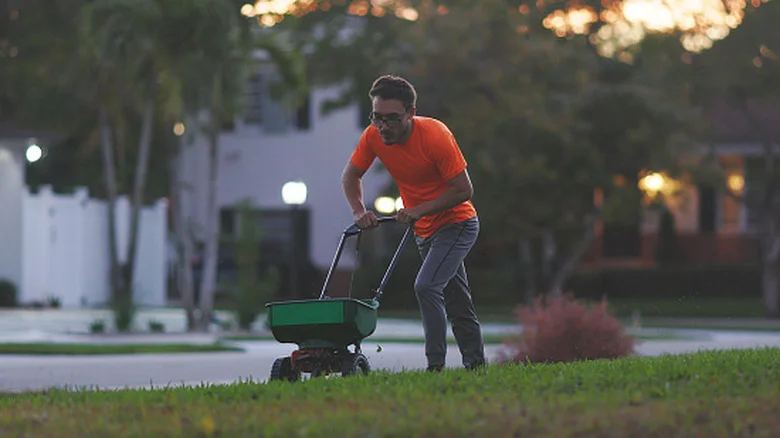 The Fertilizer Mistake That’s Secretly Damaging Your Concrete Driveway