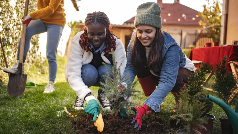 The Fruity Fertilizer That Can Help Boost Soil Moving Into The Fall & Winter