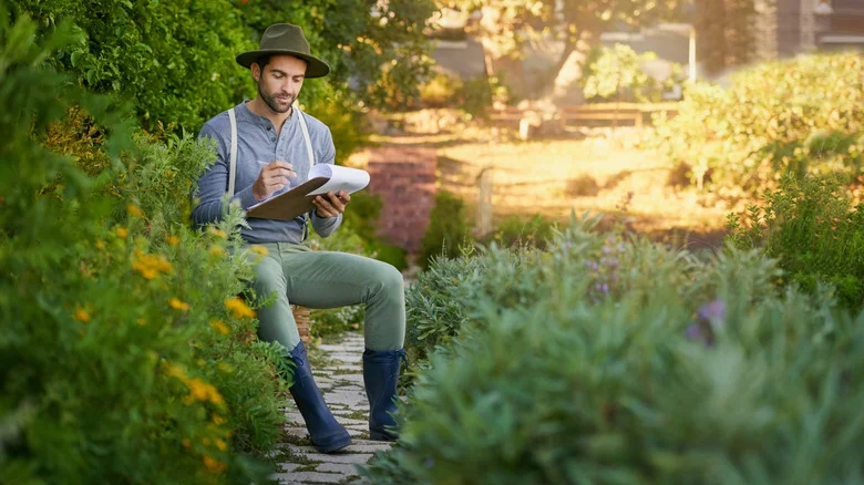 The Garden Design Choice That Gives Your Garden A Soft & Natural Look