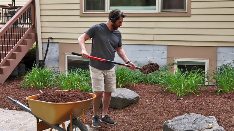 The Garden Ingredient That Can Be Reused As Mulch
