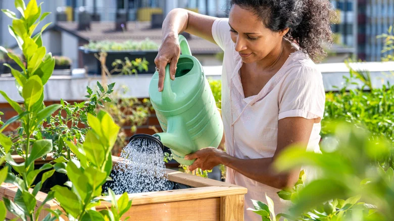 The Garden Trend To Embrace In 2026 That’s Perfect For Small Spaces